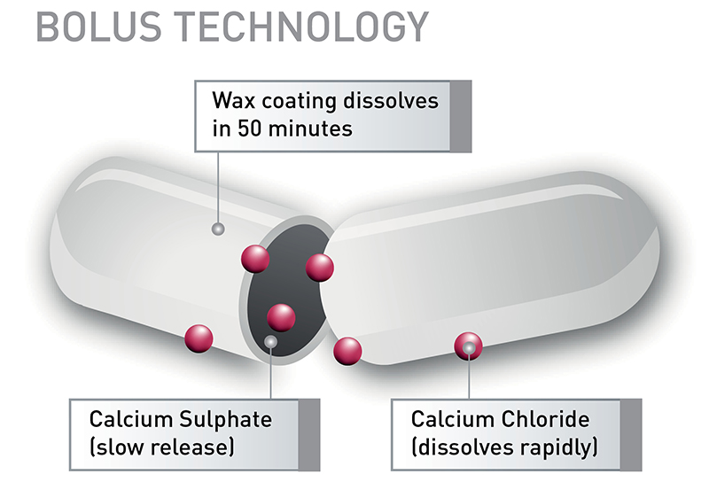 24·7 CALCIUM DAIRY COWS Agrimin